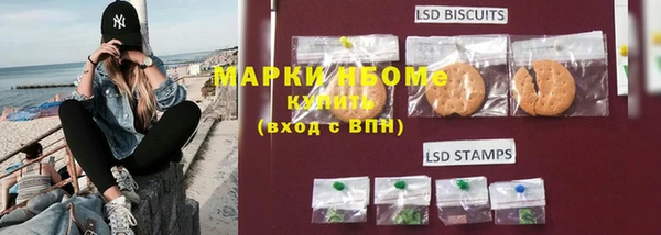 крисы Няндома