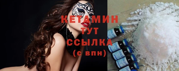 крисы Няндома