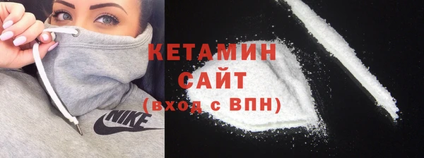 крисы Няндома