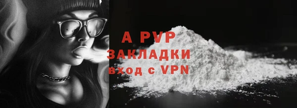 крисы Няндома