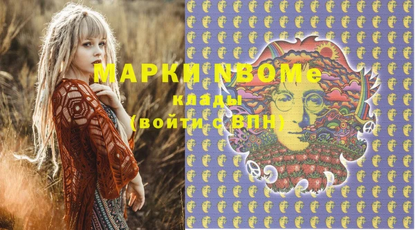 крисы Няндома