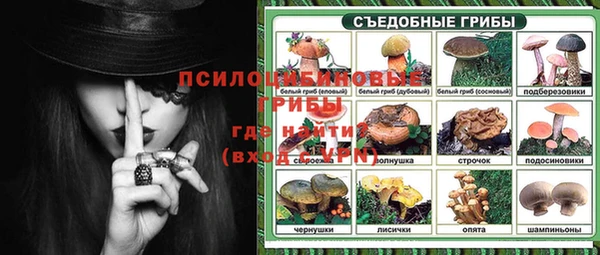 винт Нягань