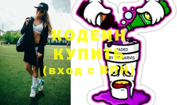 крисы Няндома