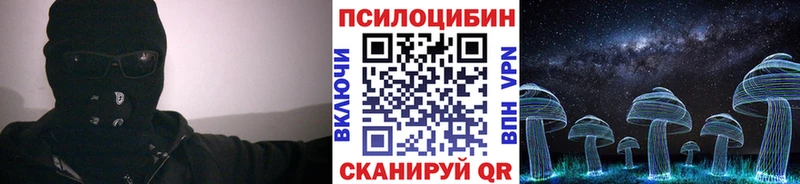 хочу   Советская Гавань  Галлюциногенные грибы Psilocybe 