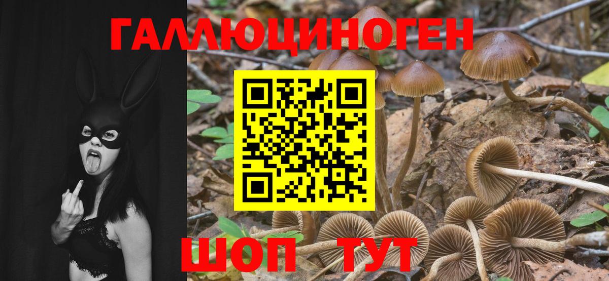 Псилоцибиновые грибы Magic Shrooms Советская Гавань