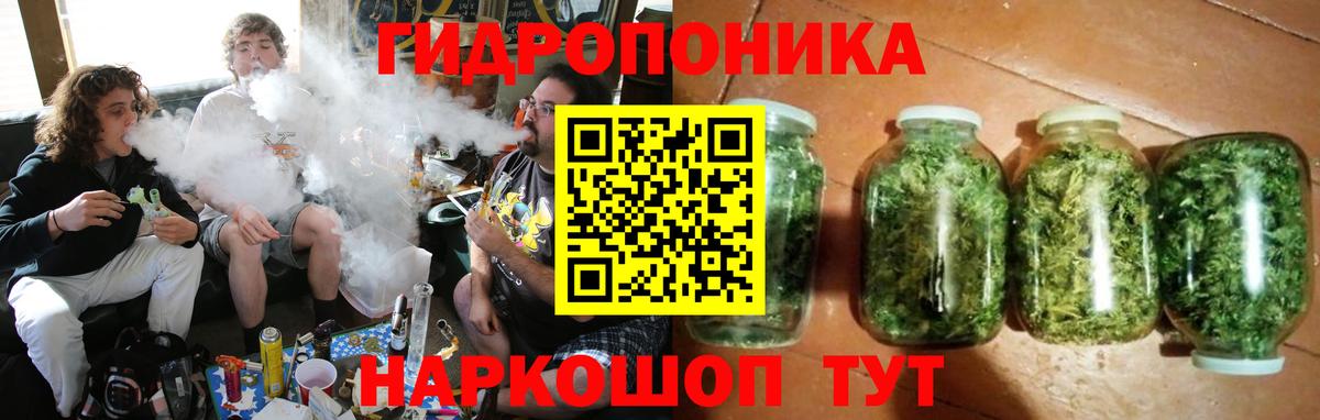 Бошки Шишки конопля Советская Гавань